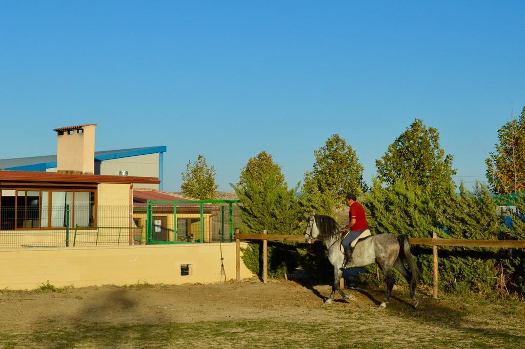 Rural Reillo Alojamientos Rurales Bagian luar foto